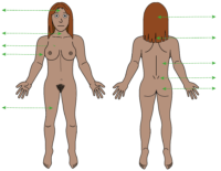 female body map with arrows
