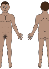 Thumbnail for Male body map - naked