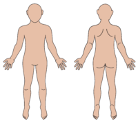 male body map blank lighter skintone