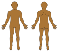 male body map blank skintone V2