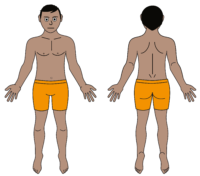 male body map clothed