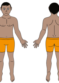 Thumbnail for Male body map - partially clothed  