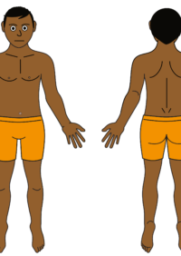 Thumbnail for Male body map - darker skin tone partially clothed  