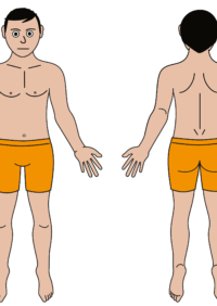 Thumbnail for Male body map - lighter skin tone partially clothed  