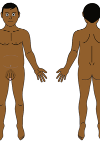 Thumbnail for Male body map - naked darker skin tone