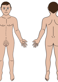 Thumbnail for Male body map - naked lighter skin tone