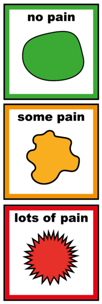 pain scale V2