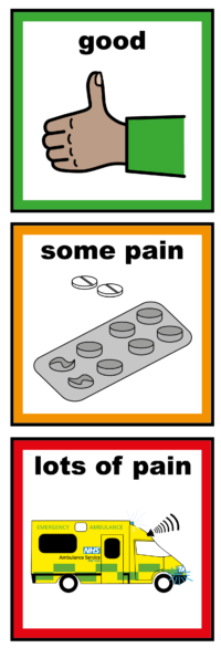 pain scale V4