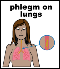 phlegm on lungs