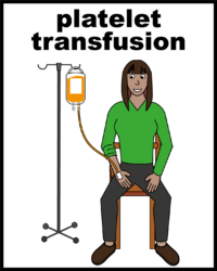 platelet transfusion