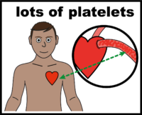 platelets V3