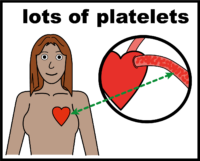 platelets V2