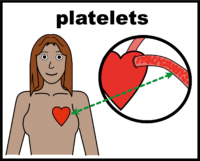 platelets