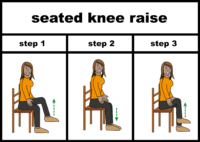 seated knee raise exercise V2