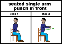 seated single arm punch in front exercise