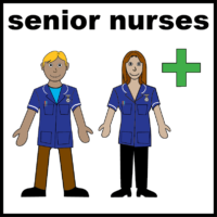 senior nurses