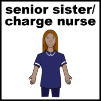 senior sister charge nurse uniform