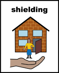 shielding V3