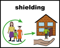 shielding V6