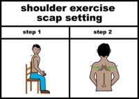 shoulder exercise scap setting