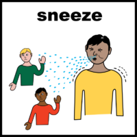 sneeze