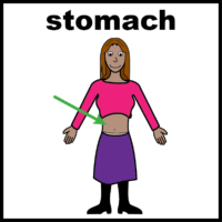 stomach woman
