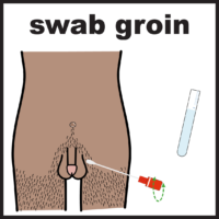 swab groin