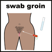 swab groin V2