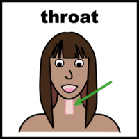 throat V2