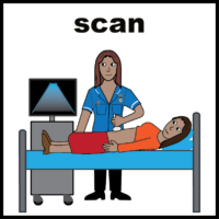 ultrasound scan V2