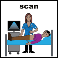 ultrasound scan V3