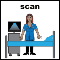 ultrasound scan V4