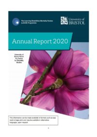 Thumbnail for LeDeR annual report 2020