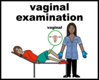 vaginal examination