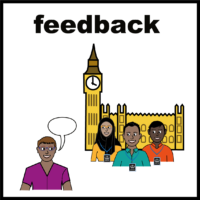feedback to government