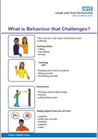 Thumbnail for What is Behaviour that Challenges