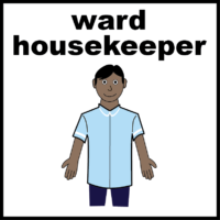 ward housekeeper uniform