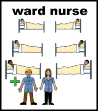 ward nurse
