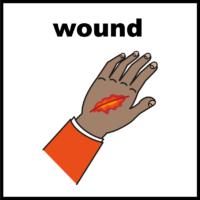 wound