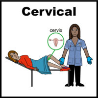 Thumbnail for Cervical