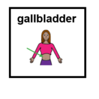 Thumbnail for Gallbladder