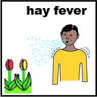 Thumbnail for Hayfever