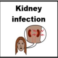 Thumbnail for Kidney infection