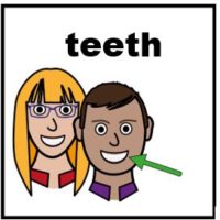 Thumbnail for Teeth
