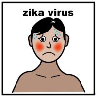Thumbnail for Zika virus 