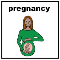 Thumbnail for Pregnancy 