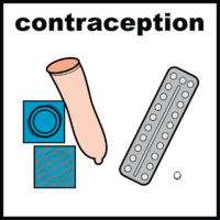 Thumbnail for Contraception 