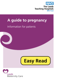 Thumbnail for A guide to pregnancy 