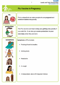 Thumbnail for Flu Vaccine in Pregnancy