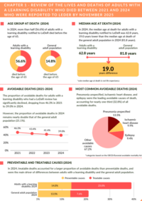 Thumbnail for LeDer 2024 Key Inforgraphics